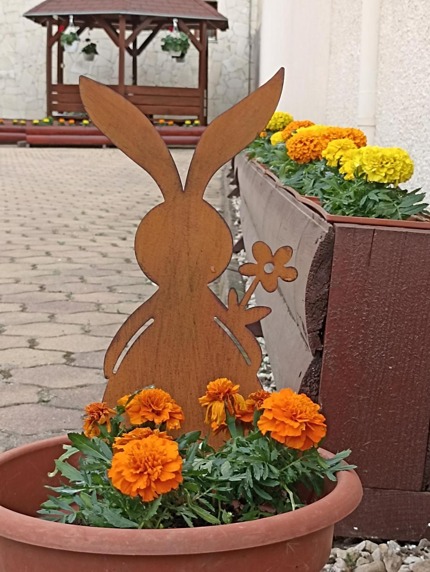 Hotel Euro Panzio à Debrecen Extérieur photo